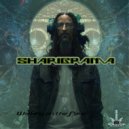Sharigrama VS Skynet - Vishnu (Original Mix)