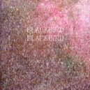 Blackbird Blackbird - Dreams I Create