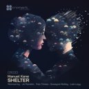 Manuel Kane - Shelter (Tree Threes Needy Dub)