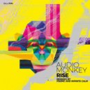 Audio Monkey - Rise