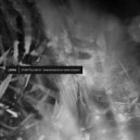 Lemna - The Bottom of the Deep Layer