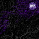 Presha - The Spell