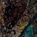 Eusebeia - Fall Then Rise