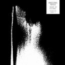 Ancestral Voices - Feathered Serpant