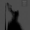 Ancestral Voices - Vine of the Soul