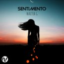 Walter G - Sentimento