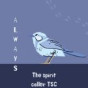 The spirit caller TSC - Picture vision