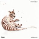 Brain - Granizo