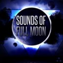 Psychedelic Trance - Sounds of Fullmoon