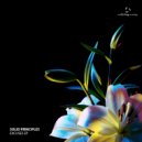 Solid Principles - Simple Journey (Original Mix)