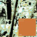 Paons, Idaam - 00 Aestling (Original Mix)