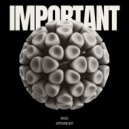 Bigg Spennder - Internet