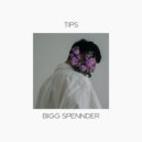 Bigg Spennder - Flew in