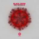 Black Crow - Timing (Original Mix)