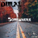 DIM.XL - SOMEWHERE (Original Mix)