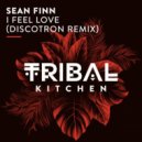 Sean Finn - I Feel Love