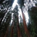 Jim Puga - Hume Lake