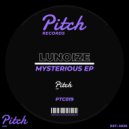 Lunoize - Check The Melody