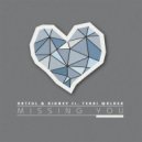 Artful, Ridney, Terri Walker - Missing You (2023 Mixes) (Michael Gray Instrumental Remix)