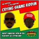 Subtifuge & The Grampians - Crying Shame Riddim (Original Mix)