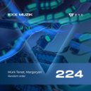 MURK TENET, Margaryan - Random Order (Radio Edit)