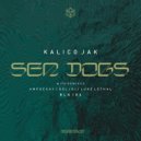 Kalico Jak & Deljoi - Sea Dogs (Deljoi Remix)