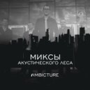 Ambicture & Акустический лес - С берега тай (From Dark to Bright Mix)
