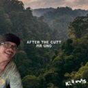After The Cutt - Mr Ung