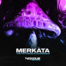 Merkäta - The Psychedelic Experience