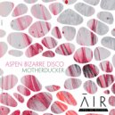 Aspen Bizarre Disco - MotherDucker (Original Mix)