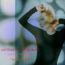 Intensity Of Sound & 3C - Lost in You (3C Xtended TripHop Remix)