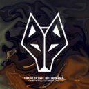 Jonas Mtz, Gustavo Lobo - The Electric Melodrama (Original Mix)