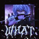 MKnight - GUN ()
