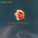 Sanctony - Faint Reflections ()
