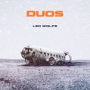 Leo Wolfs - Black Curls
