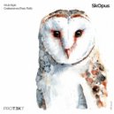 SkOpus & Fizik - Coalescence ()
