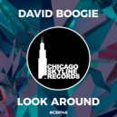 David Boogie - Look Around