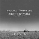 WAVE17 & Nancy Hensley - Selections (Special Version)