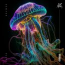 Faffa Bruwer - So Long, and Thanks for All the Acid (Original Mix))
