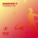 Semper T. - When You Came Back (Original Mix)