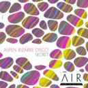 Aspen Bizarre Disco - Secret (Original Mix)