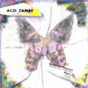 Acid James - Flux (Original Mix)