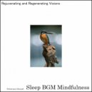 Sleep BGM Mindfulness - Pillow Perfection Sleep (Original Mix)