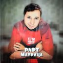 PNPT - Матрица