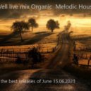 DJ Vell - Organic Melodic House the best releases of June 15.06.2023