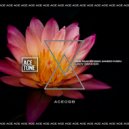 Nari, Sandro Puddu, Dead As Disko - Lady Dancer (Original Mix)