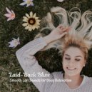 Instrumental Hip-Hop & Relaxation Music Guru & Relaxing Music for Bath Time - Serene Vibes Unwind