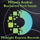 Mihnea Andrei - Cry of the strings (Original)