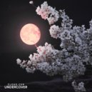 Clovd Cvp - Undercover (Original Mix)