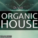 DJ Vell - live mix Organic Melodic House the best releases of June 20.06.2023
